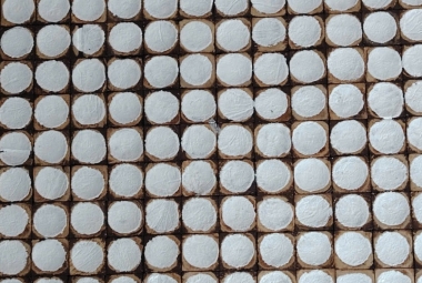 Bức tranh từ gạch gáo dừa