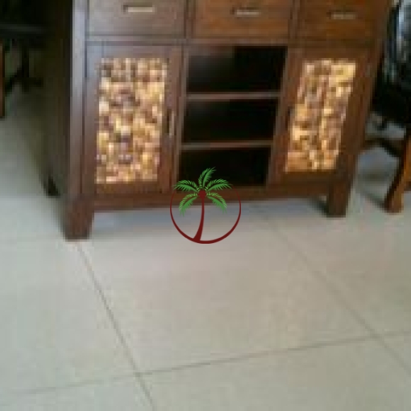 Cánh Cửa Tủ Khảm Gáo Dừa Cao Cấp