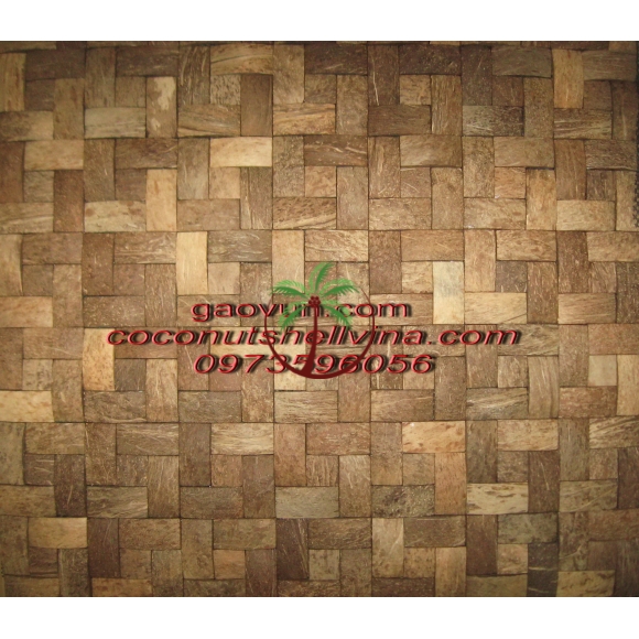 Gạch Gáo Dừa Ốp Tường Kiểu Long Mốt NH-D02