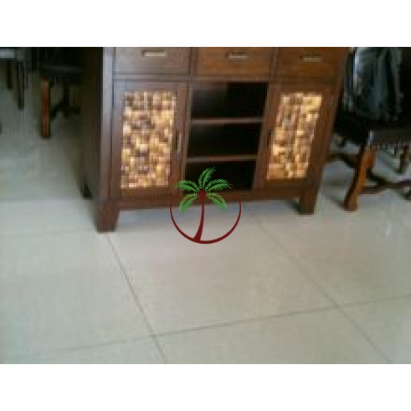 Cánh Cửa Tủ Khảm Gáo Dừa Cao Cấp
